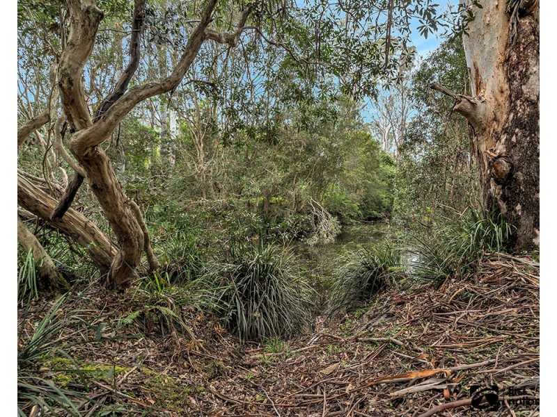 411A Cradle Creek Road, Lowanna NSW 2450