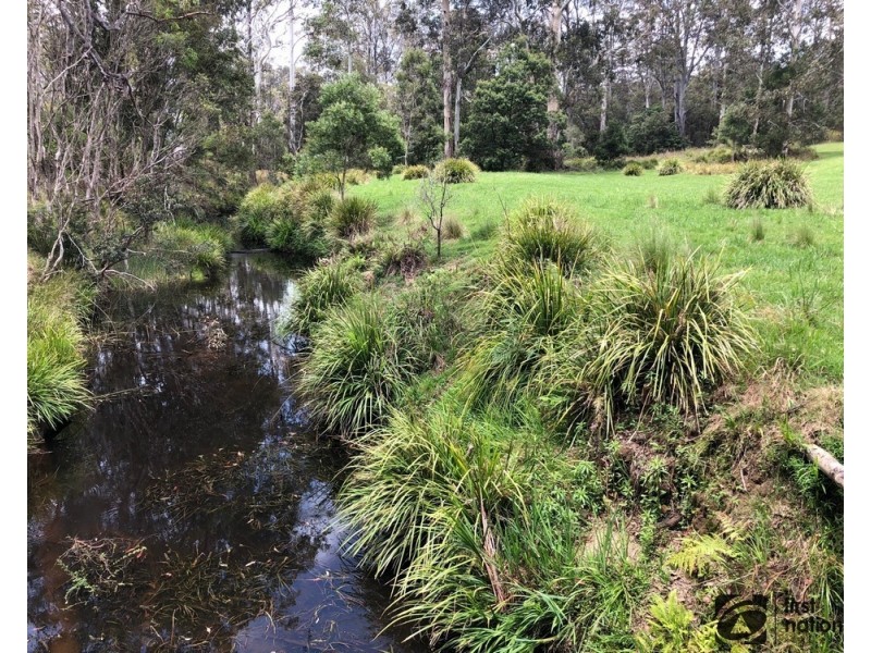 411A Cradle Creek Road, Lowanna NSW 2450
