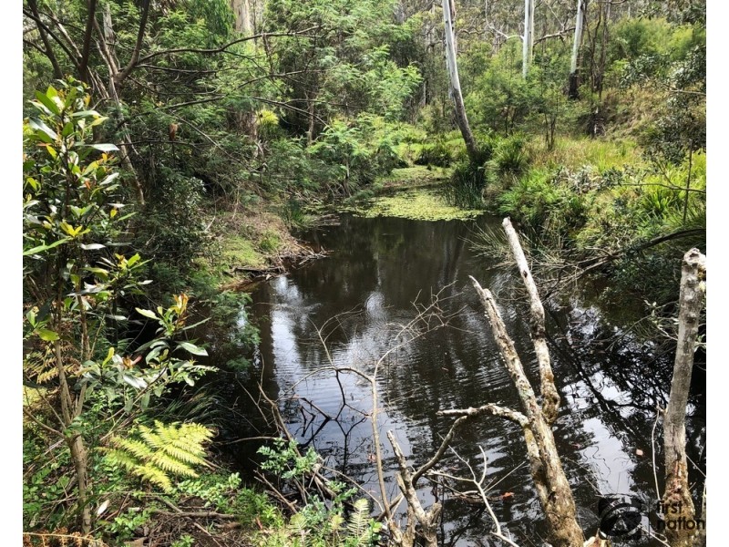 411A Cradle Creek Road, Lowanna NSW 2450