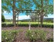 1449 Bucca Road, Nana Glen NSW 2450