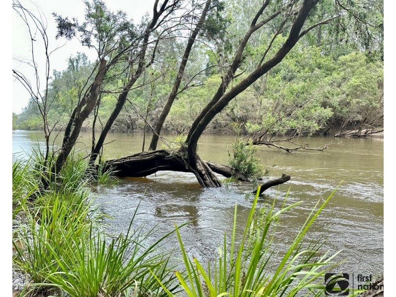 306 Orara Road, Lanitza NSW 2460