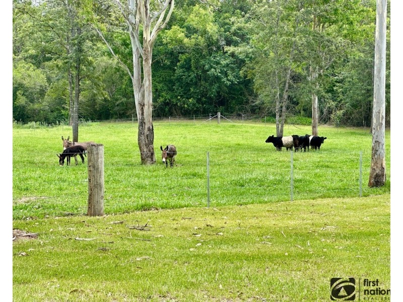 306 Orara Road, Lanitza NSW 2460