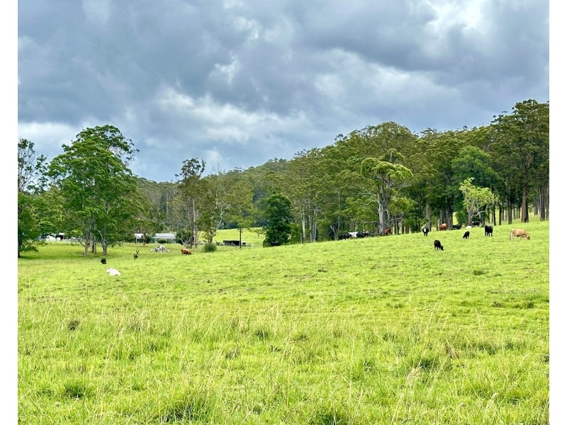 3/1239 Bucca Road, Bucca NSW 2450