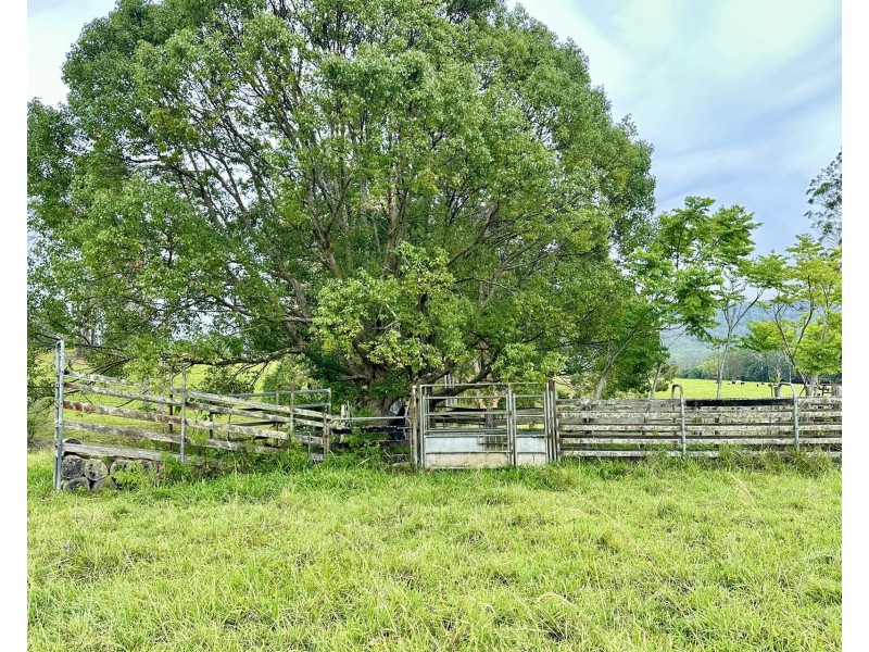 3/1239 Bucca Road, Bucca NSW 2450