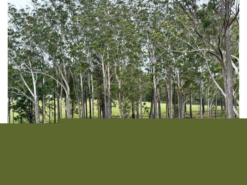 3/1239 Bucca Road, Bucca NSW 2450