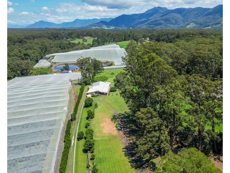 10 Andren Close, Bonville NSW 2441