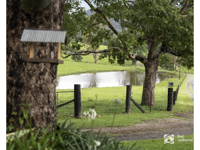 79 Upper Orara Road, Karangi NSW 2450