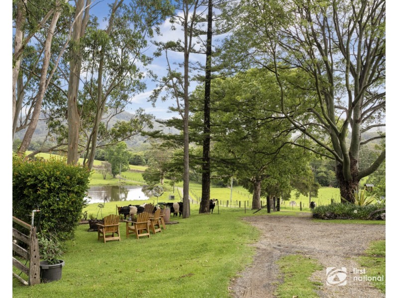 79 Upper Orara Road, Karangi NSW 2450