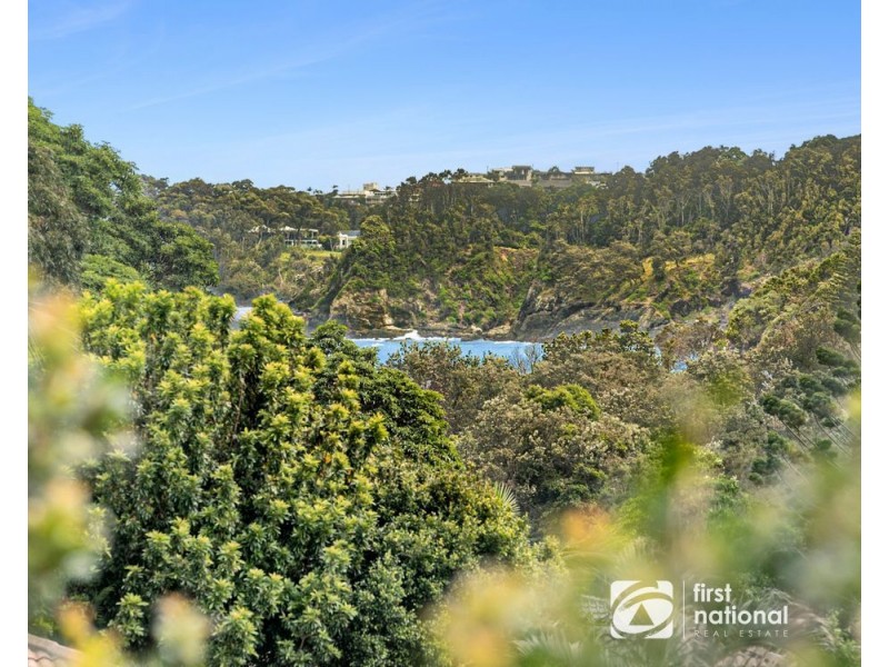 38 Coachmans Close, Sapphire Beach NSW 2450