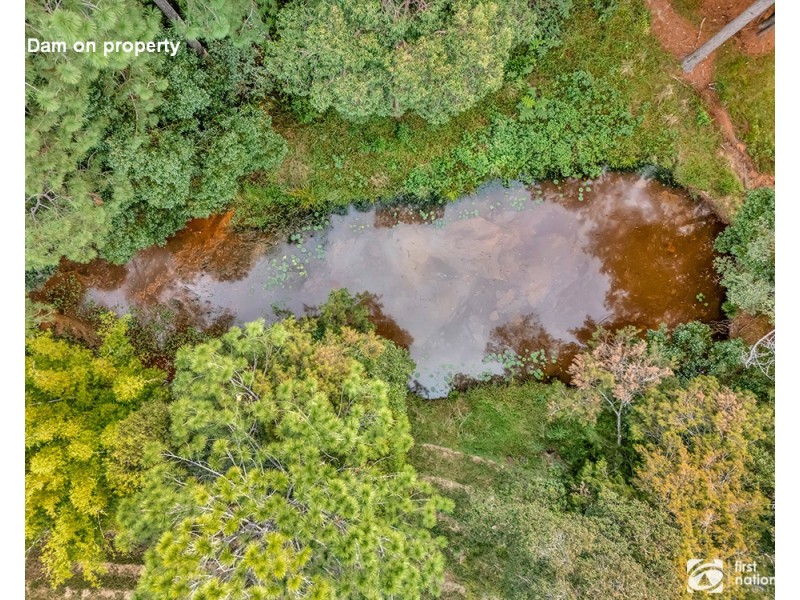 5 Archville Station Road, Bonville NSW 2441