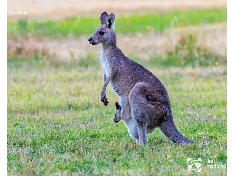 701-727 Woopi Drive, Woolgoolga NSW 2456