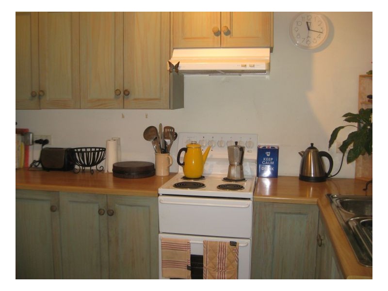 11 Macdonald Street, Erskineville NSW 2043