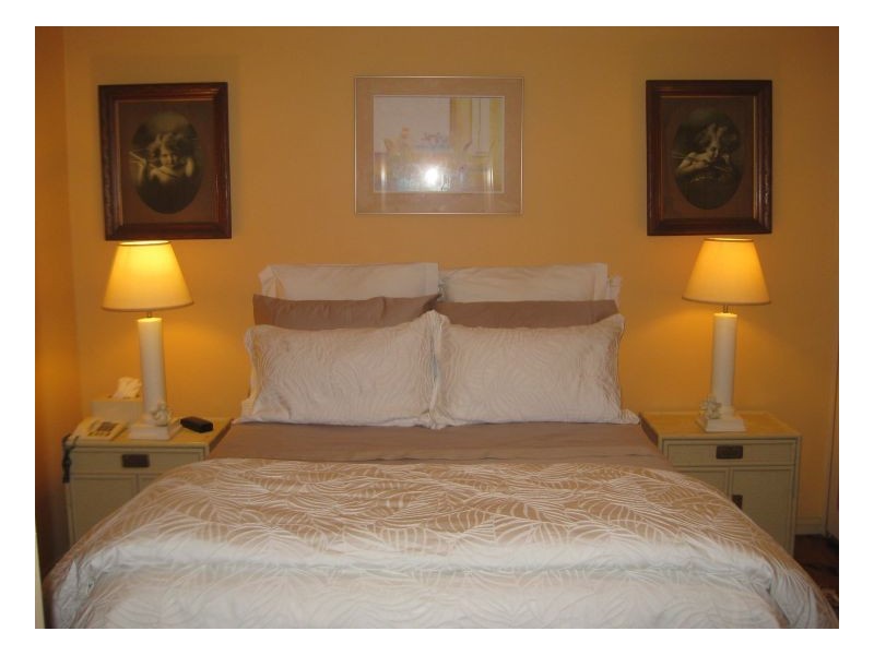 11 Macdonald Street, Erskineville NSW 2043