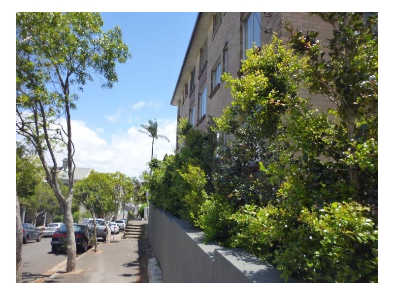 10/47 Bent Street, Paddington NSW 2021