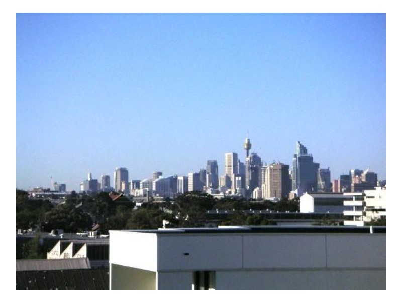 551/221 Sydney Park Road Erskineville, Erskineville NSW 2043