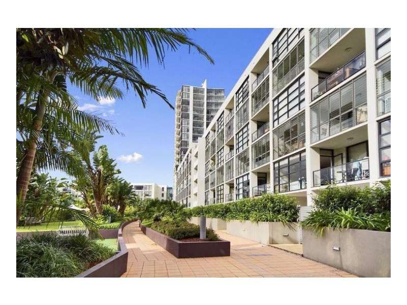 551/221 Sydney Park Road Erskineville, Erskineville NSW 2043