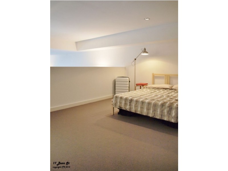 17 Barr Street, Camperdown NSW 2050