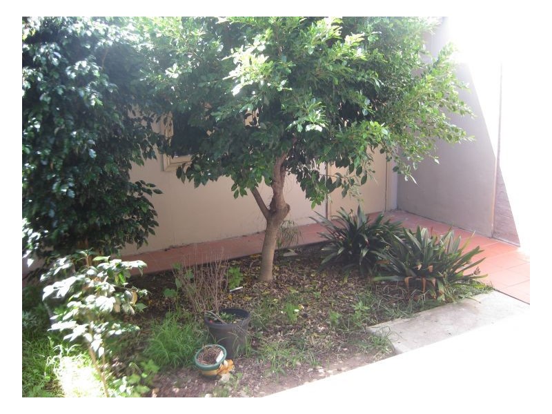 19 Calvert Street, Marrickville NSW 2204