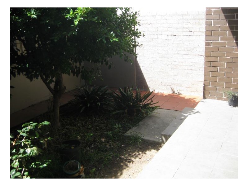 19 Calvert Street, Marrickville NSW 2204