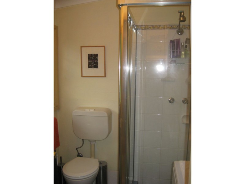 11 Macdonald Street, Erskineville NSW 2043