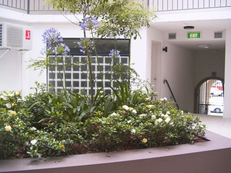 8/12-14 Enmore Road, Newtown NSW 2042