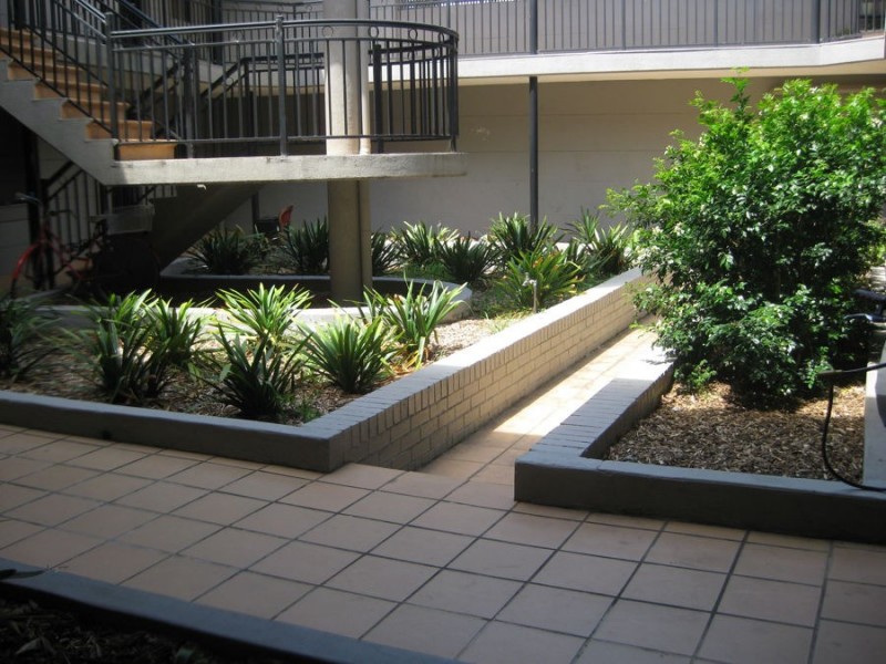 19/220 Henderson Road, Erskineville NSW 2043