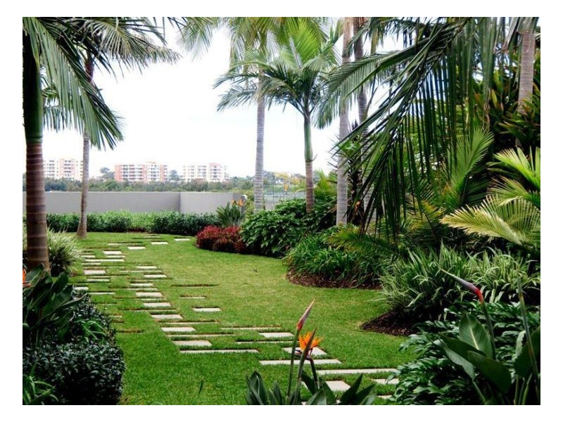 841/2 The Crescent, Wentworth Point NSW 2127