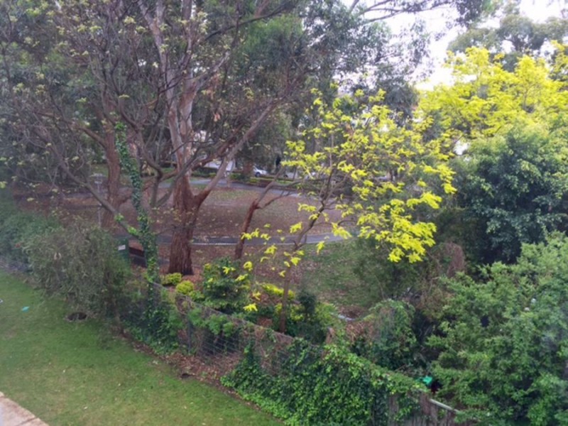 11/5 Munni Street, Newtown NSW 2042