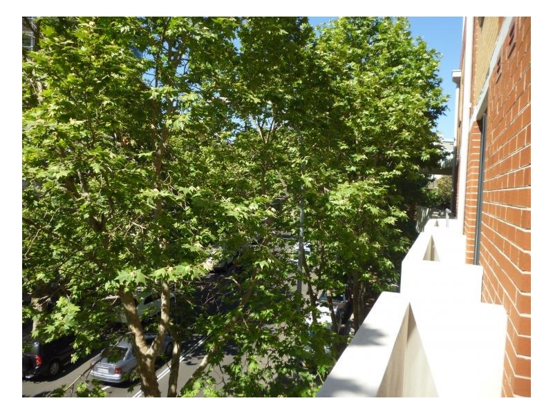 304/130 Carillon Ave, Newtown NSW 2042