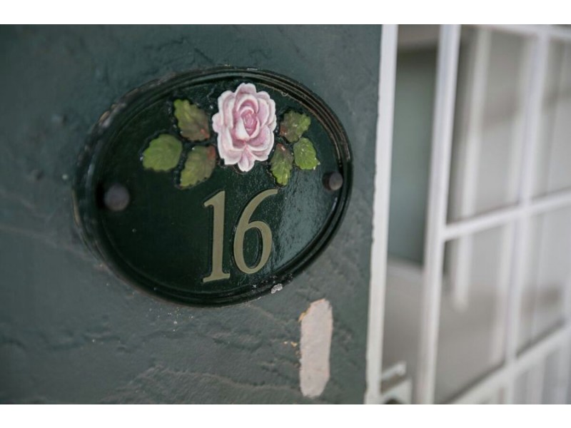 16 Caerleon Crescent, Randwick NSW 2031