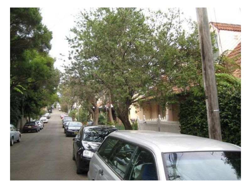 29 Probert Street, Camperdown NSW 2050