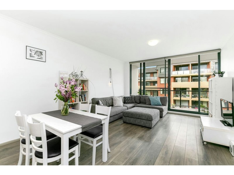 485/221 Sydney Park Road, Erskineville NSW 2043