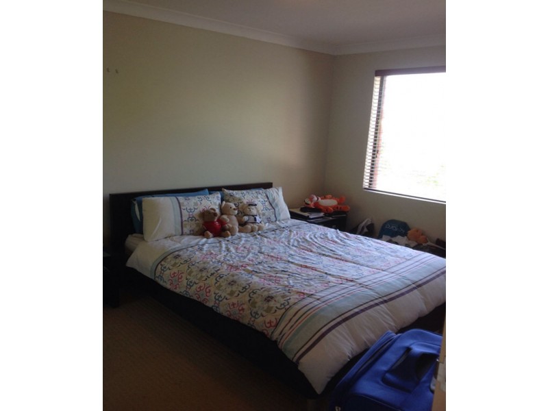 9308/177 Mitchell Road, Erskineville NSW 2043