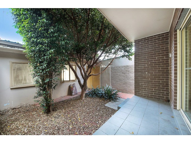 19 Calvert street, Marrickville NSW 2204