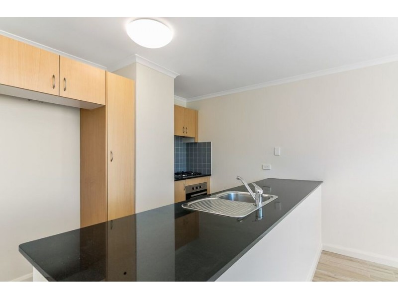 31/52 Regent St., Chippendale NSW 2008