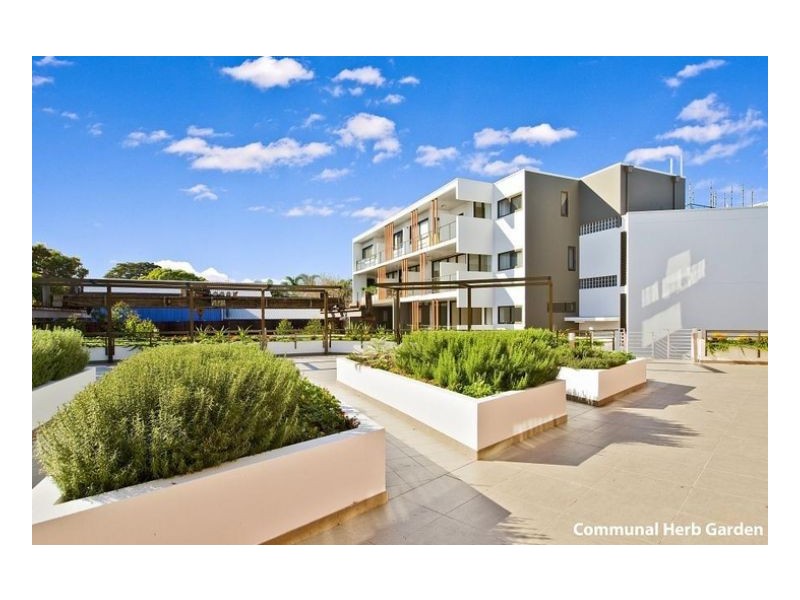 1/15-17 Fountain Street, Alexandria NSW 2015