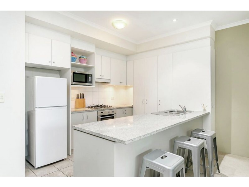 481/221 Sydney Park Road, Erskineville NSW 2043