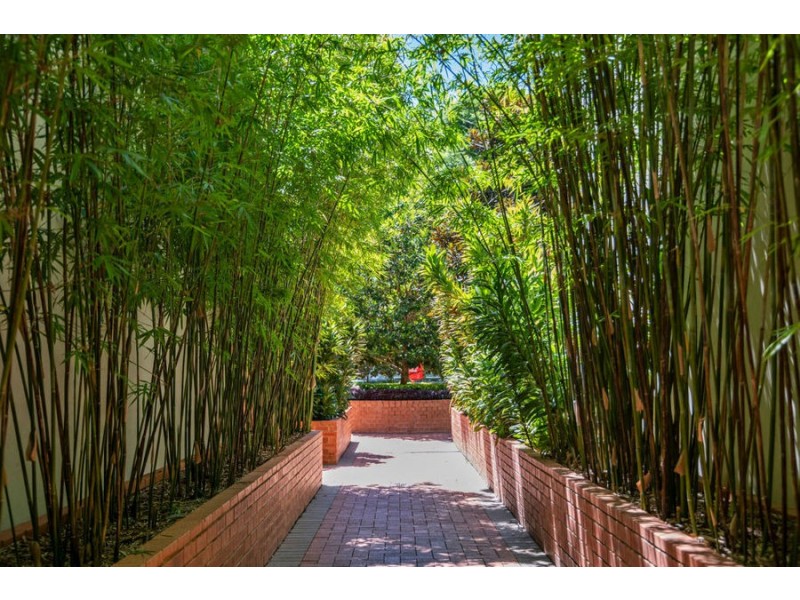 3/60 Park street, Erskineville NSW 2043