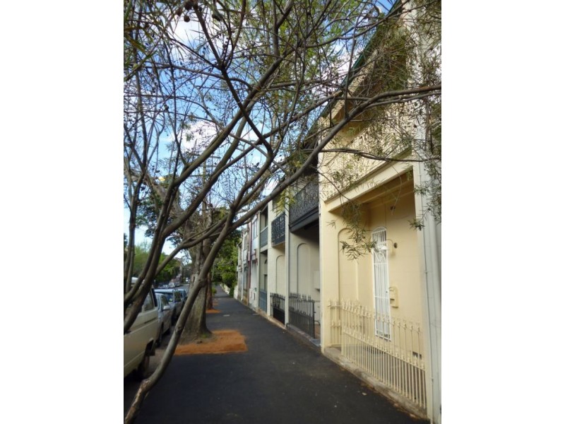 416 Abercrombie Street, Darlington NSW 2008