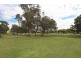 62 May Street, St Peters NSW 2044