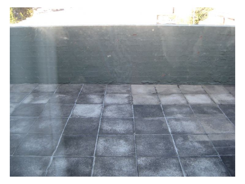 22 Prospect Street, Erskineville NSW 2043