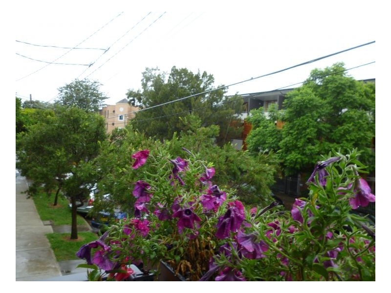 119 Lawrence Street, Alexandria NSW 2015