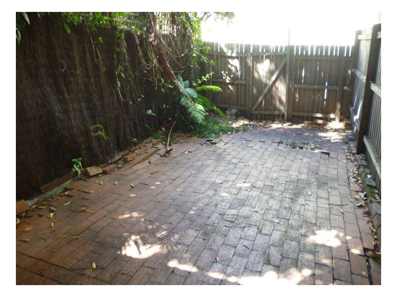 20 Whitehorse Street, Newtown NSW 2042