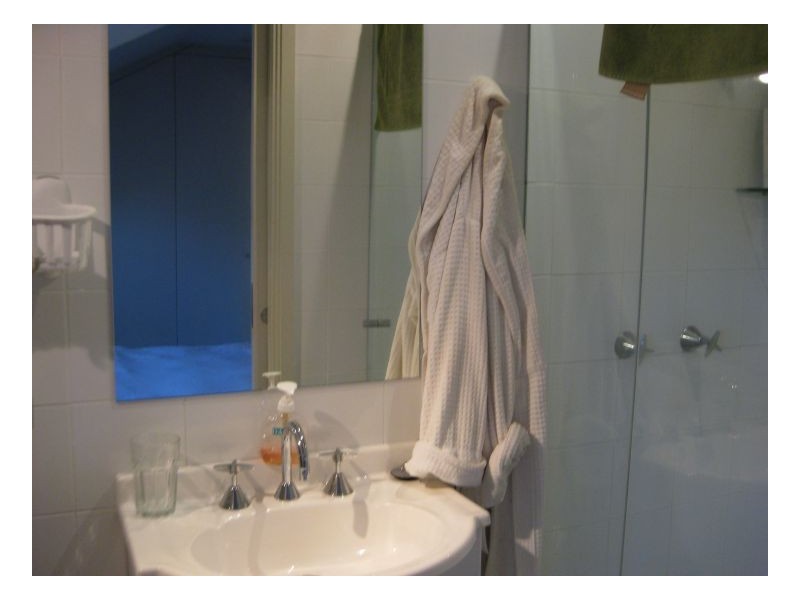 86a Chelmsford Street, Newtown NSW 2042