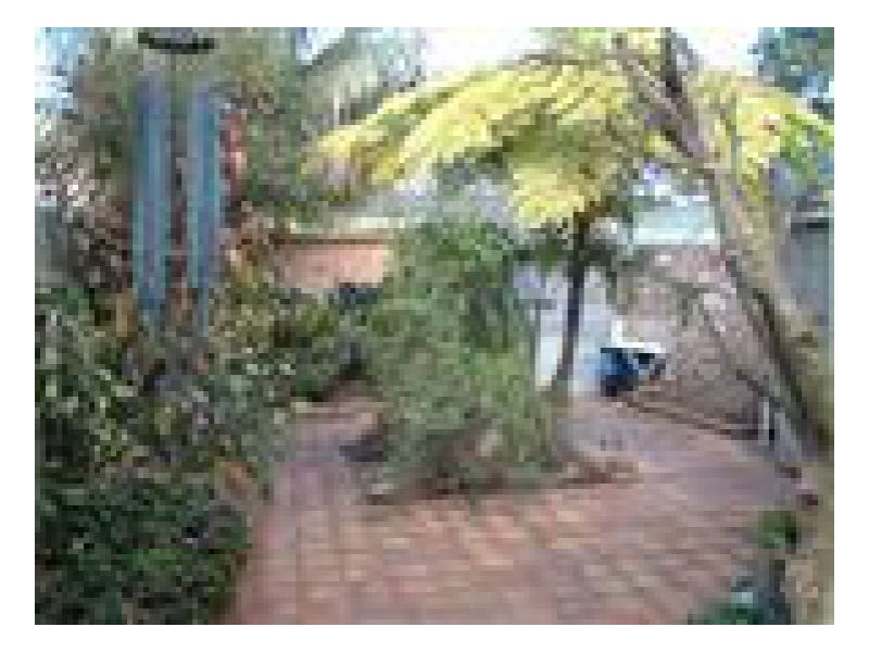362 Belmont Street, Alexandria NSW 2015