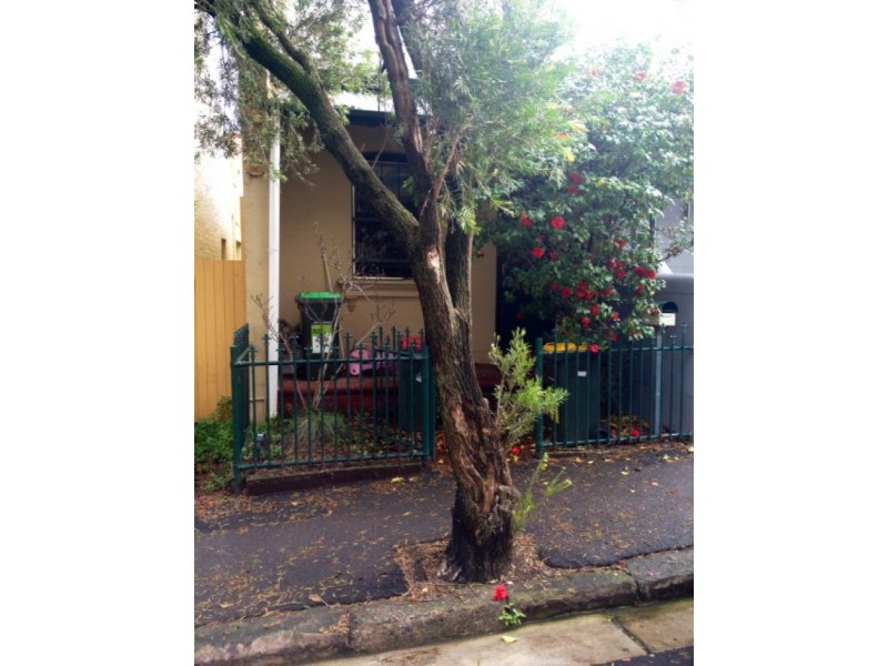 17 Prospect Street, Erskineville NSW 2043