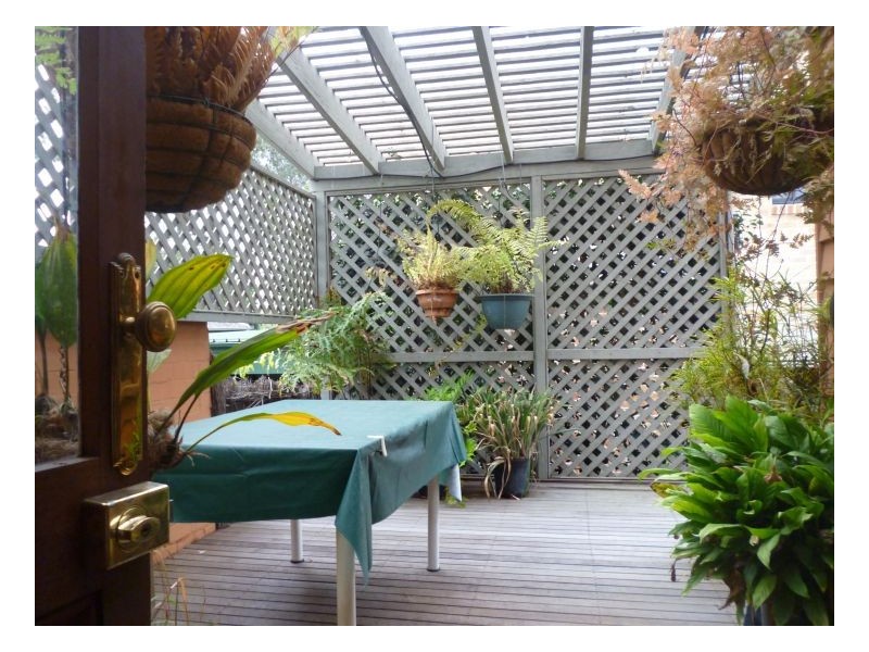 87 Percival Road, Stanmore NSW 2048