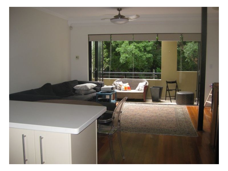 1c Goddard Street, Erskineville NSW 2043