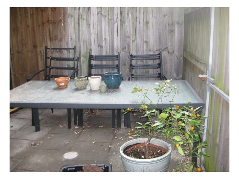 1c Goddard Street, Erskineville NSW 2043
