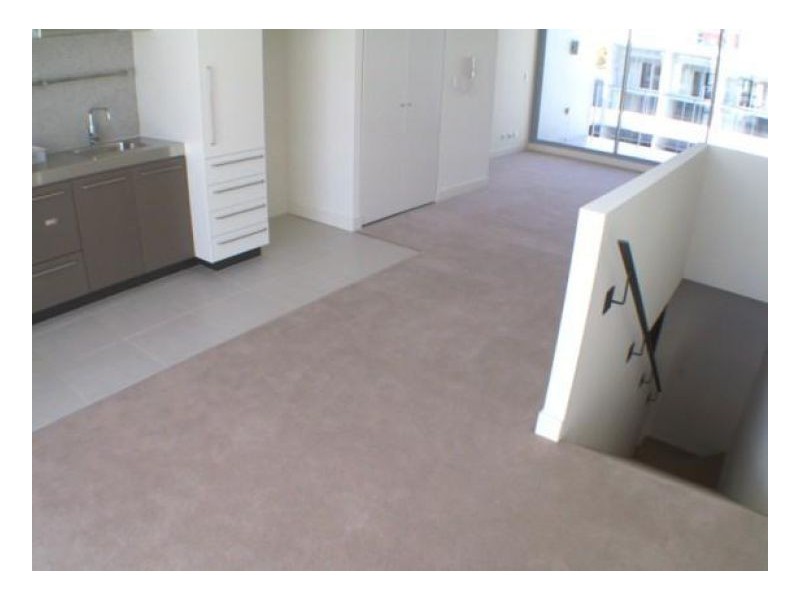 313/ 169-175 Phillip Street, Waterloo NSW 2017